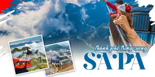 banner sapa